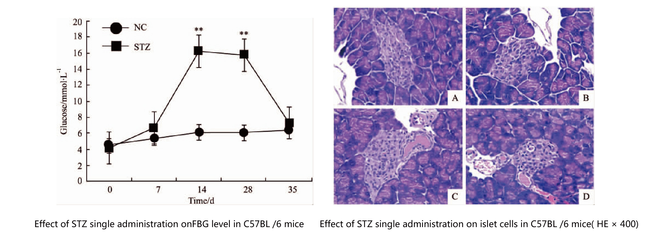 體內(nèi)藥效學(xué)評(píng)價(jià) 案例