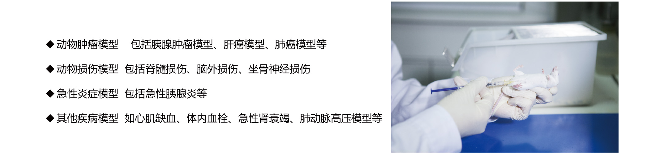 常用藥物研究的疾病動(dòng)物模型